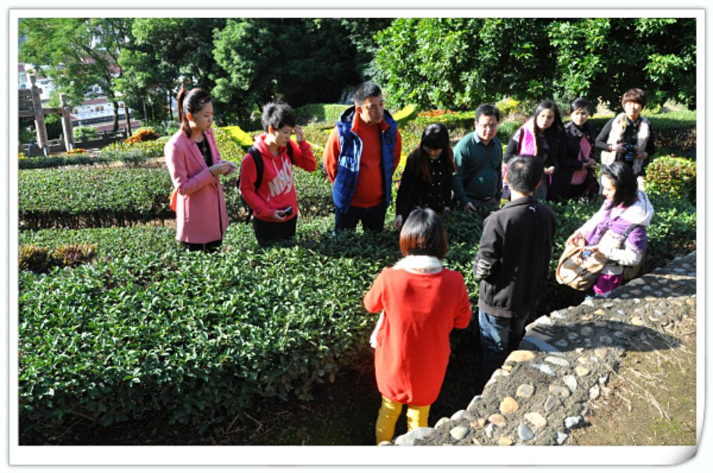 第78期天晟茶艺培训学校中国茶学系统培训班全体学员合照(图3)