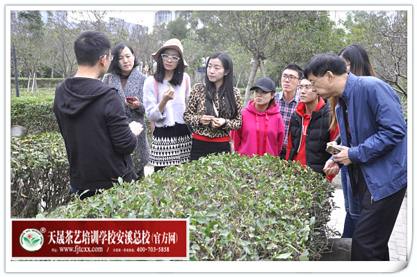 第139期天晟茶艺培训学校中国茶学系统培训班全体学员合照(图3)