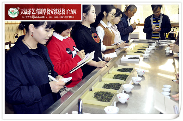 第140期天晟茶艺培训学校中国茶学系统培训班全体学员合照(图2)