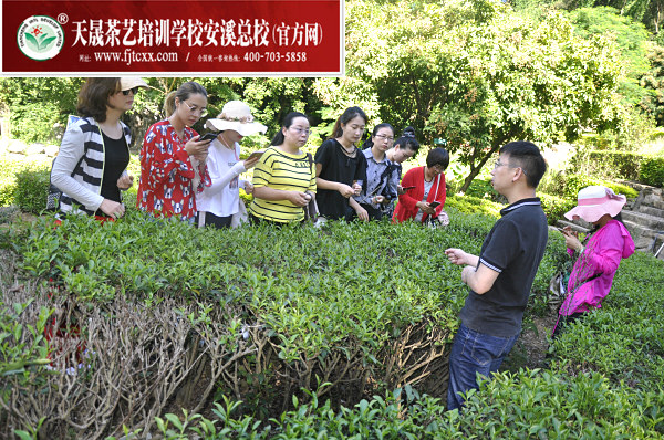 第144期天晟茶艺培训学校中国茶学系统培训班全体学员合照(图3)