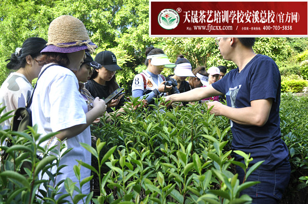 第146期天晟茶艺培训学校中国茶学系统培训班全体学员合照(图2)