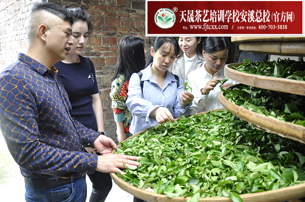第148期天晟茶艺培训学校中国茶学系统培训班全体学员合照(图2)
