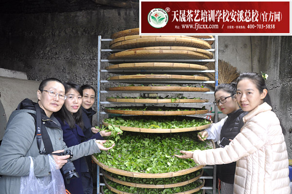 第149期天晟茶艺培训学校中国茶学系统培训班全体学员合照(图3)
