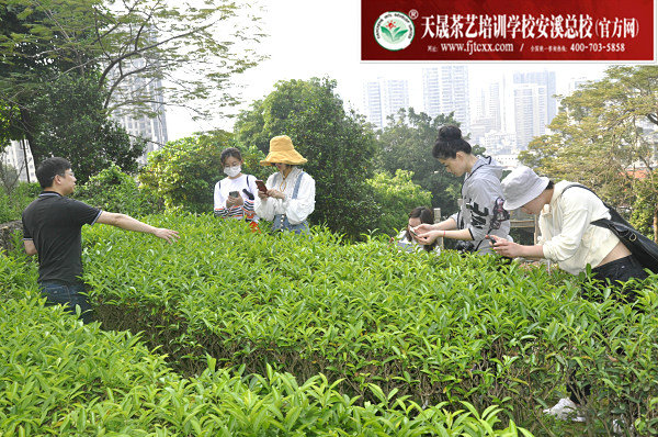 第151期天晟茶艺培训学校中国茶学系统培训班全体学员合照(图3)