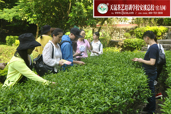 第153期天晟茶艺培训学校中国茶学系统培训班全体学员合照(图1)