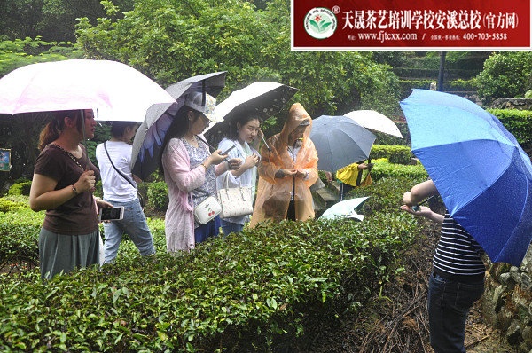第152期天晟茶艺培训学校中国茶学系统培训班全体学员合照(图3)