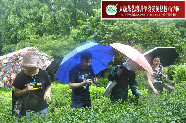 第154期天晟茶艺培训学校中国茶学系统培训班全体学员合照(图4)