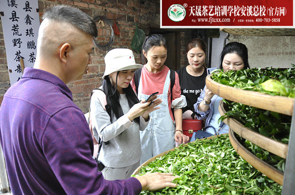第156期天晟茶艺培训学校中国茶学系统培训班全体学员合照(图2)