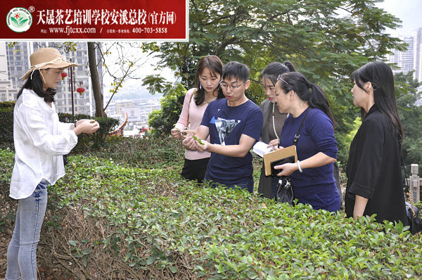 第157期天晟茶艺培训学校中国茶学系统培训班全体学员合照(图3)
