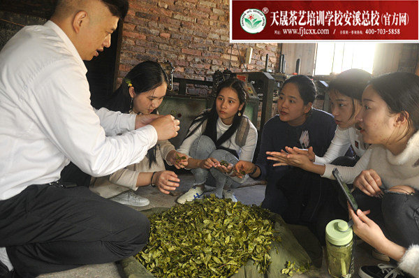 第158期天晟茶艺培训学校中国茶学系统培训班全体学员合照(图3)