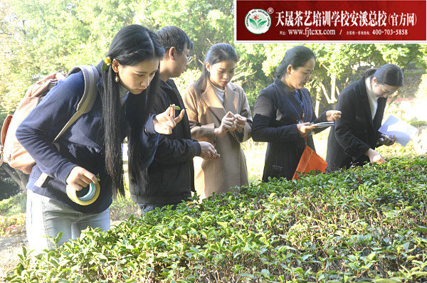 第158期天晟茶艺培训学校中国茶学系统培训班全体学员合照(图4)