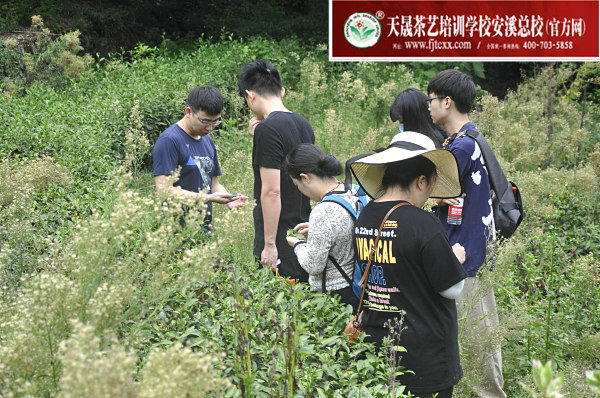 第159期天晟茶艺培训学校中国茶学系统培训班全体学员合照(图3)
