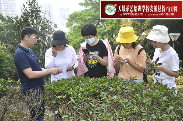 第160期天晟茶艺培训学校中国茶学系统培训班全体学员合照(图2)