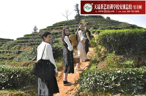 第161期天晟茶艺培训学校中国茶学系统培训班全体学员合照(图3)