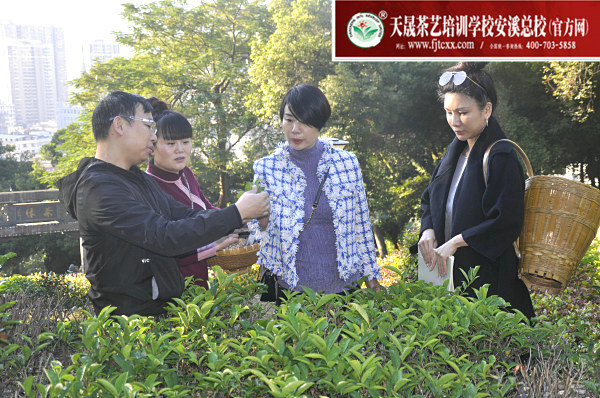 第163期天晟茶艺培训学校中国茶学系统培训班全体学员合照(图4)