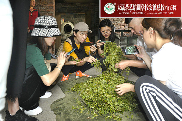 第162期天晟茶艺培训学校中国茶学系统培训班全体学员合照(图2)