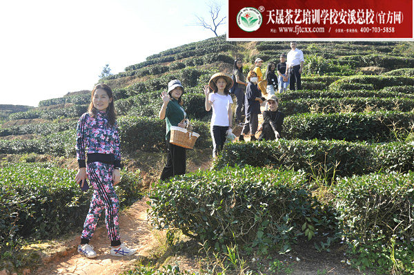第162期天晟茶艺培训学校中国茶学系统培训班全体学员合照(图3)