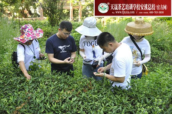 第168期天晟茶艺培训学校中国茶学系统培训班全体学员合照(图3)