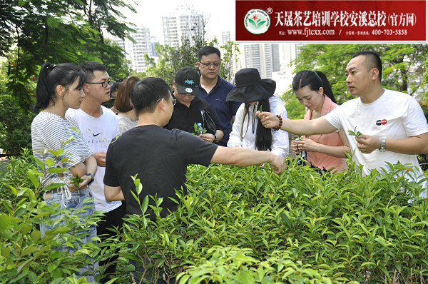 第167期天晟茶艺培训学校中国茶学系统培训班全体学员合照(图3)
