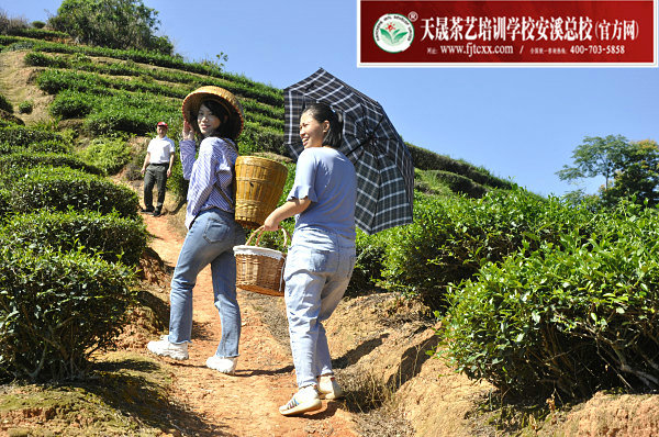 第169期天晟茶艺培训学校中国茶学系统培训班全体学员合照(图3)
