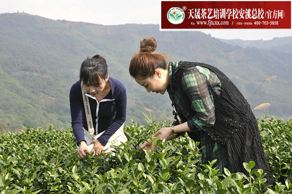 第170期天晟茶艺培训学校中国茶学系统培训班全体学员合照(图3)