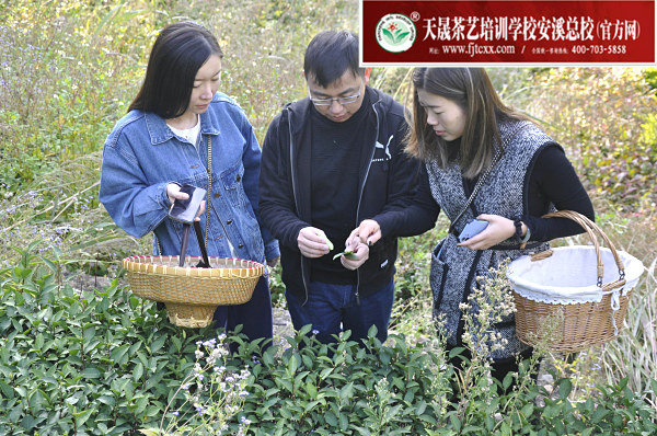 第171期天晟茶艺培训学校中国茶学系统培训班全体学员合照(图3)