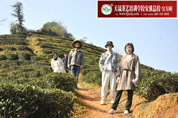 第173期天晟茶艺培训学校中国茶学系统培训班全体学员合照(图3)