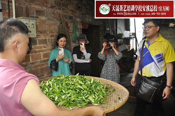 第175期天晟茶艺培训学校中国茶学系统培训班全体学员合照(图3)