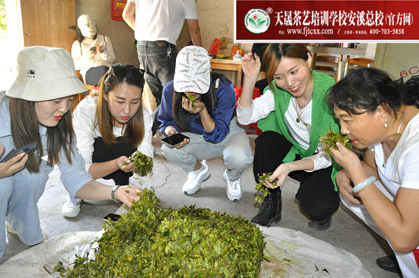 第179期天晟茶艺培训学校中国茶学系统培训班全体学员合照(图3)
