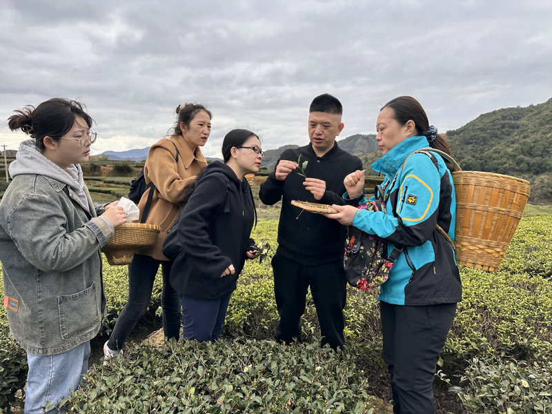 天晟茶艺培训班课程第5天我们上茶山了(图2)