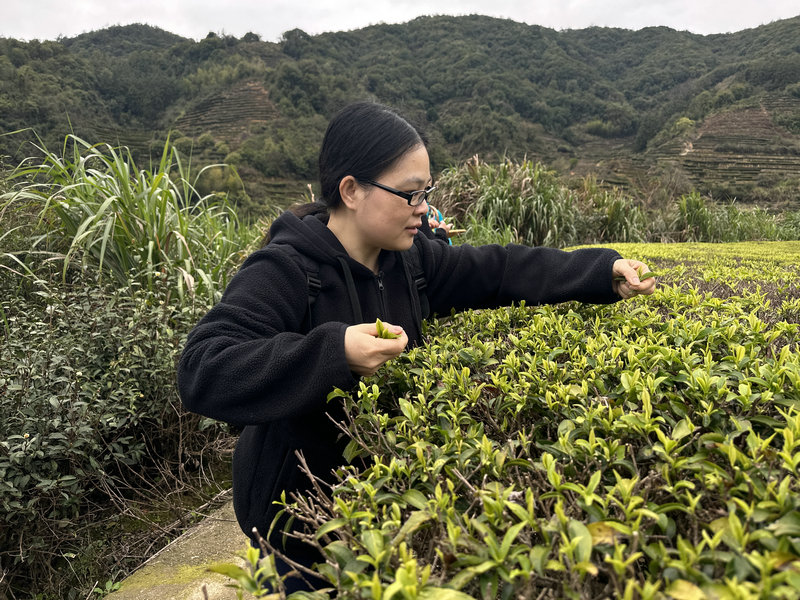 天晟茶艺培训班课程第5天我们上茶山了(图5)