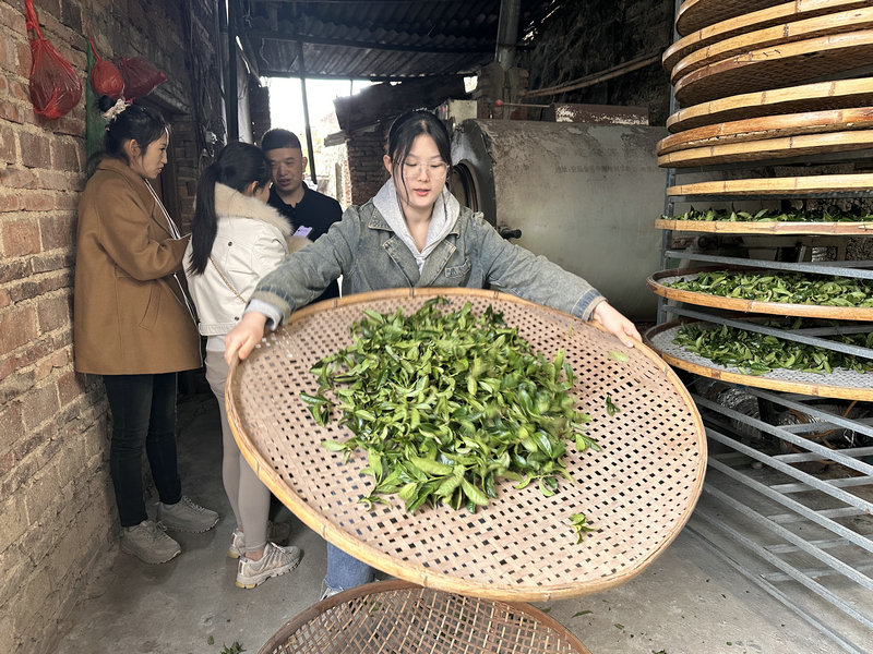 如何考茶艺师证(图3)