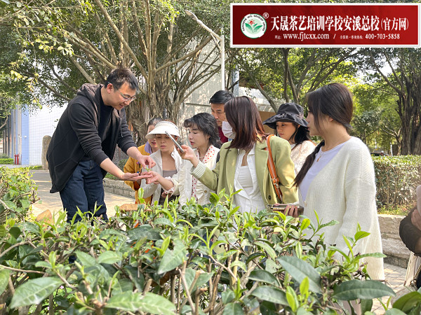 第182期天晟茶艺培训学校中国茶学系统培训班全体学员合照(图3)