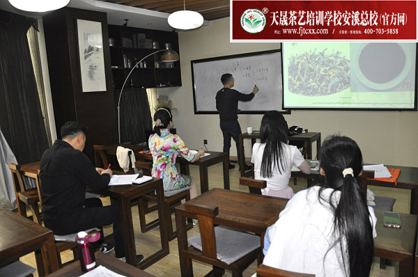 零基础学茶艺到底能不能学好(图4)