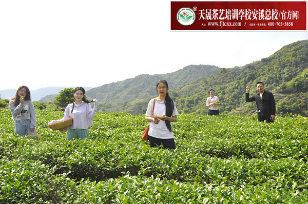 第185期天晟中国茶学系统培训班2023年6月11日正式上课（图）