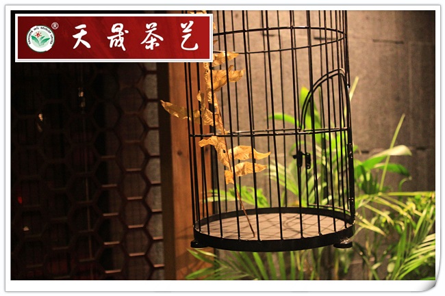 天晟茶艺培训学校学费招生简章(图25)