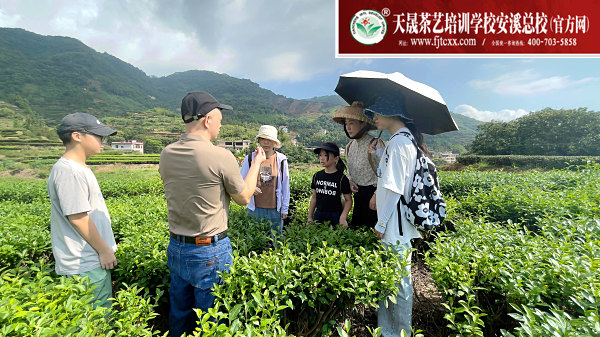 第187期天晟茶艺培训学校中国茶学系统培训班全体学员合照 (图3)