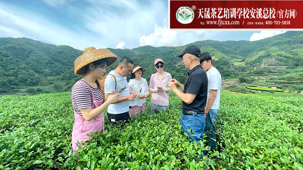 第188期天晟茶艺培训学校中国茶学系统培训班全体学员合照 (图4)