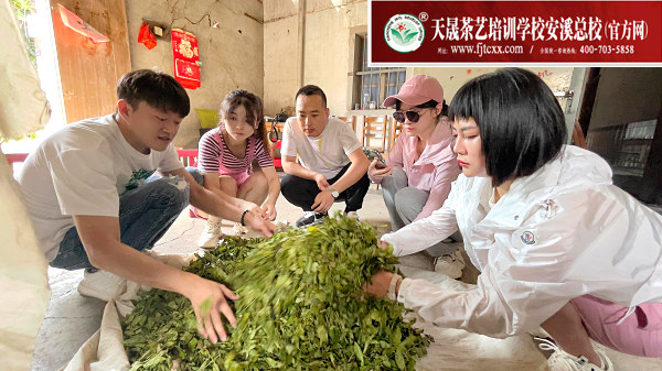 第188期天晟茶艺培训学校中国茶学系统培训班全体学员合照 (图5)