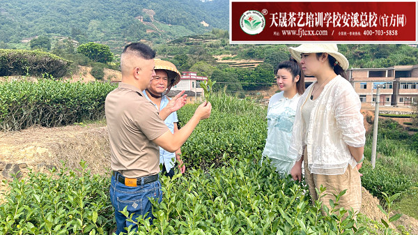 第189期天晟茶艺培训学校中国茶学系统培训班全体学员合照 (图4)