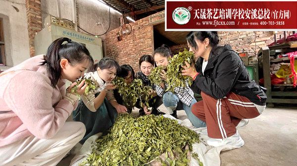 第190期天晟茶艺培训学校中国茶学系统培训班全体学员合照 (图5)