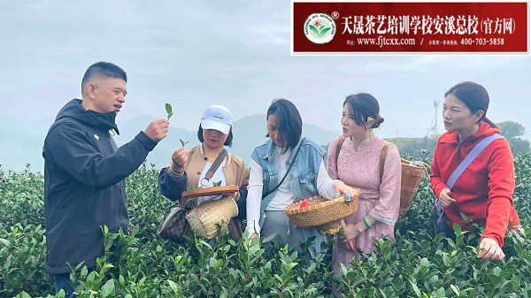 第191期天晟茶艺培训学校中国茶学系统培训班全体学员合照 (图1)