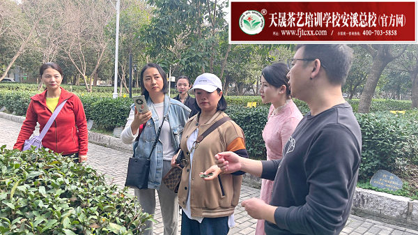 第191期天晟茶艺培训学校中国茶学系统培训班全体学员合照 (图3)