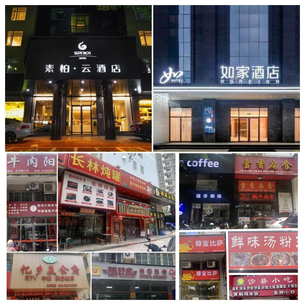 第209期天晟中国茶学系统培训班2025年7月21日正式上课（图）(图5)
