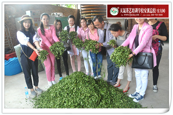邢台茶艺培训学员问天晟茶艺培训学校:茶艺培训哪里学?