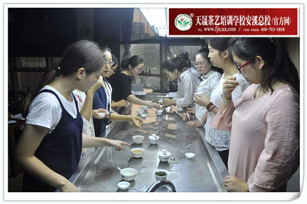 茶艺培训哪里好? 最好最专业的茶艺培训学校是哪一家?(图2)