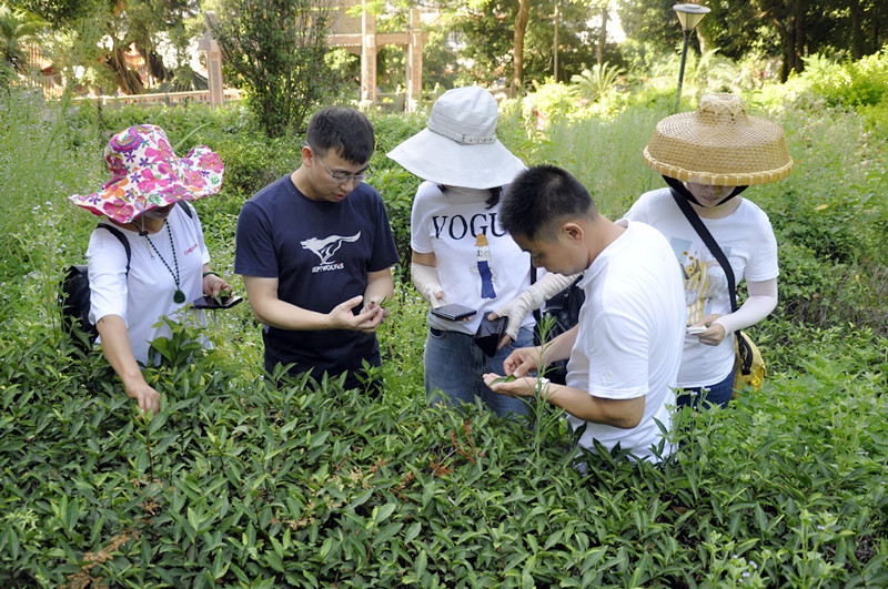 天晟茶艺培训学校中国茶学系统培训班招生简章2025年最新
