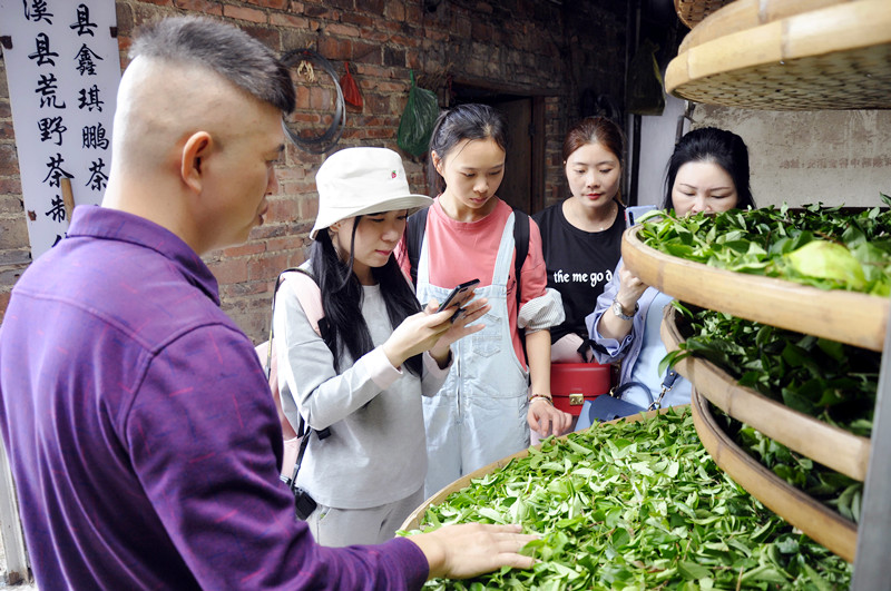 泉州茶艺培训哪里有?泉州茶艺培训哪里好?(图3)