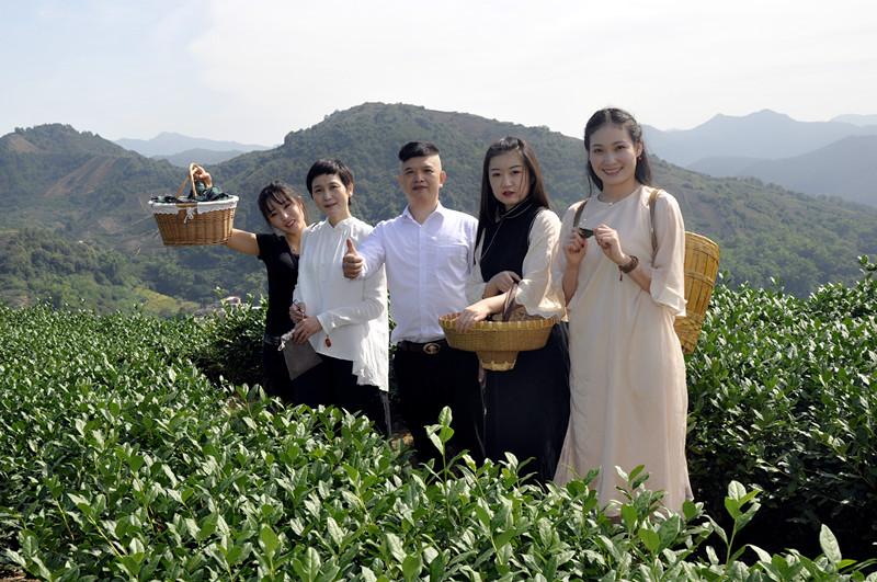 泉州茶艺培训哪里有?泉州茶艺培训哪里好?(图2)