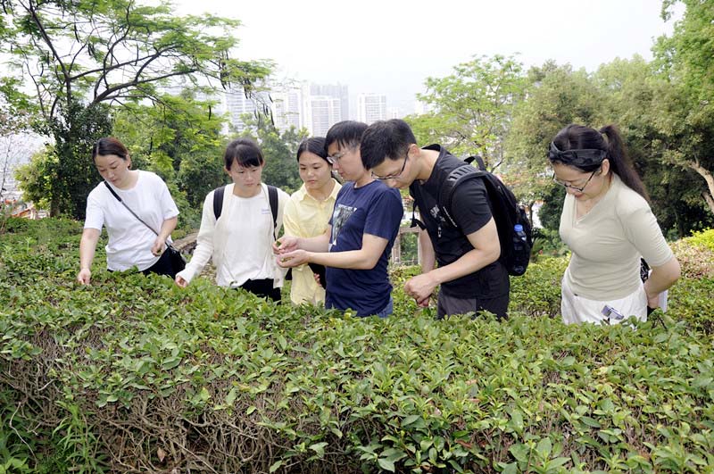 沈阳茶艺培训学员问天晟茶艺培训学校：茶艺师去哪里报名培训？(图2)
